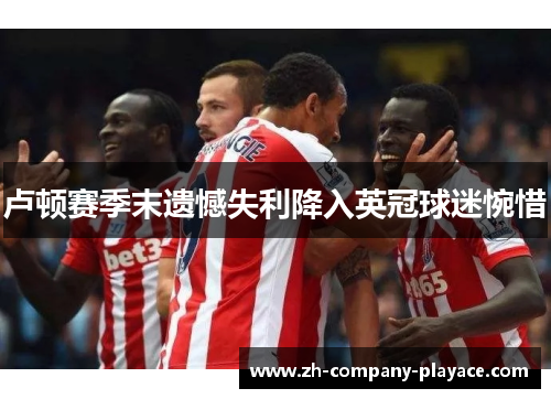 卢顿赛季末遗憾失利降入英冠球迷惋惜